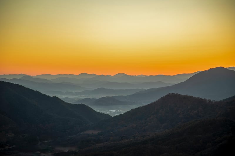 Sunrise in Nature